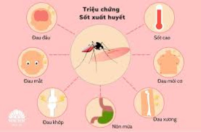 Thông tin truyền thông bệnh sốt xuất huyết