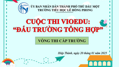 Cuộc thi VioEdu "Đấu trường tổng hợp" - Vòng trường